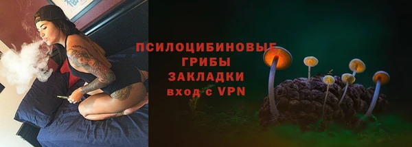 твердый Алзамай