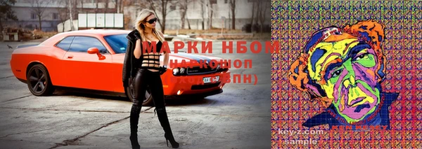твердый Алзамай