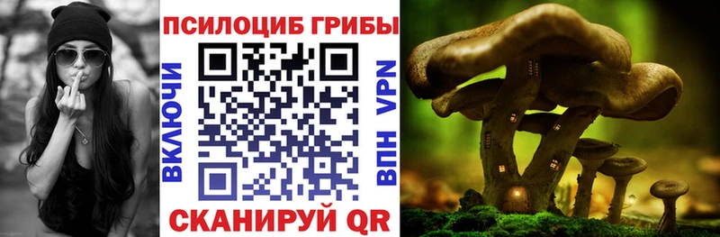 Псилоцибиновые грибы Psilocybe  KRAKEN tor  Данилов 